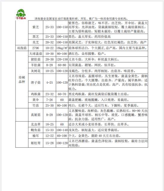 优质白灵菇 食用菌母种原种 栽培种出菇菌包 一级种二级种三级种_c46b42c3.jpg