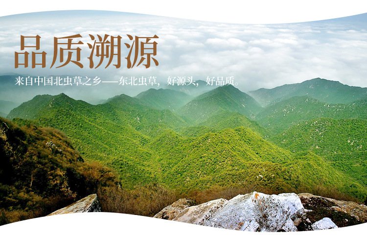 东北地区干货虫草花 永信自产自销北虫草 货源充足_5f45955e.jpg