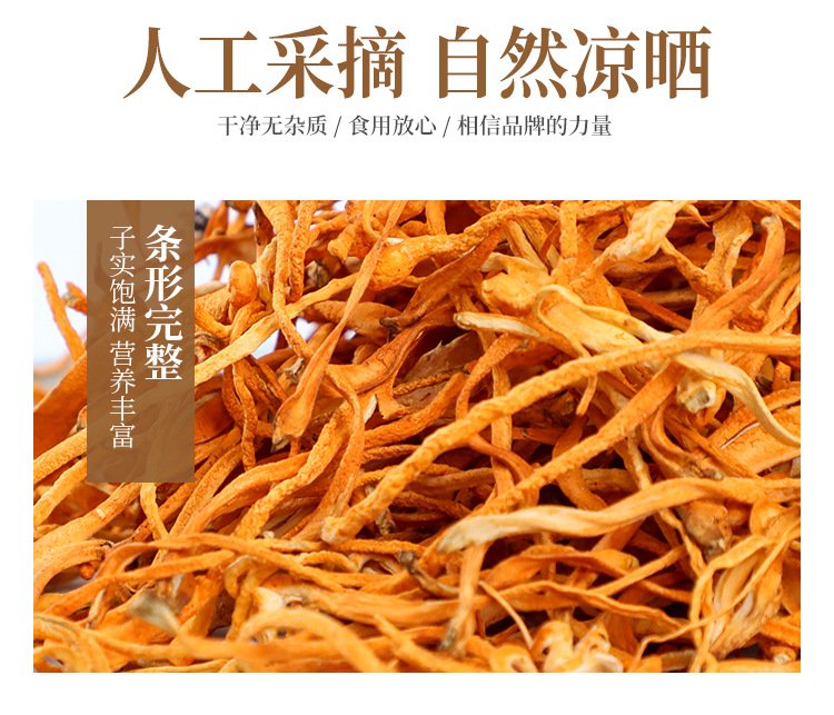 东北地区干货虫草花 永信自产自销北虫草 货源充足_86b9bb4b.jpg