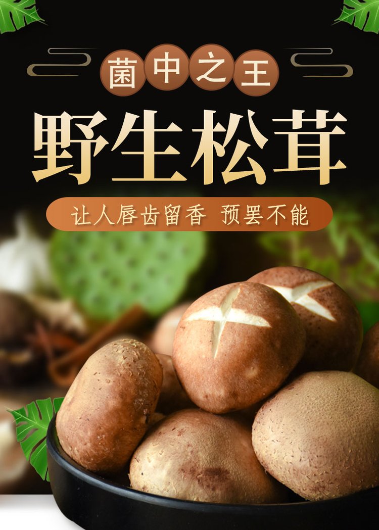 菌状元特产新鲜食用姬松茸巴西菇干货批发原色鸡松茸_e6d84b4d.jpg