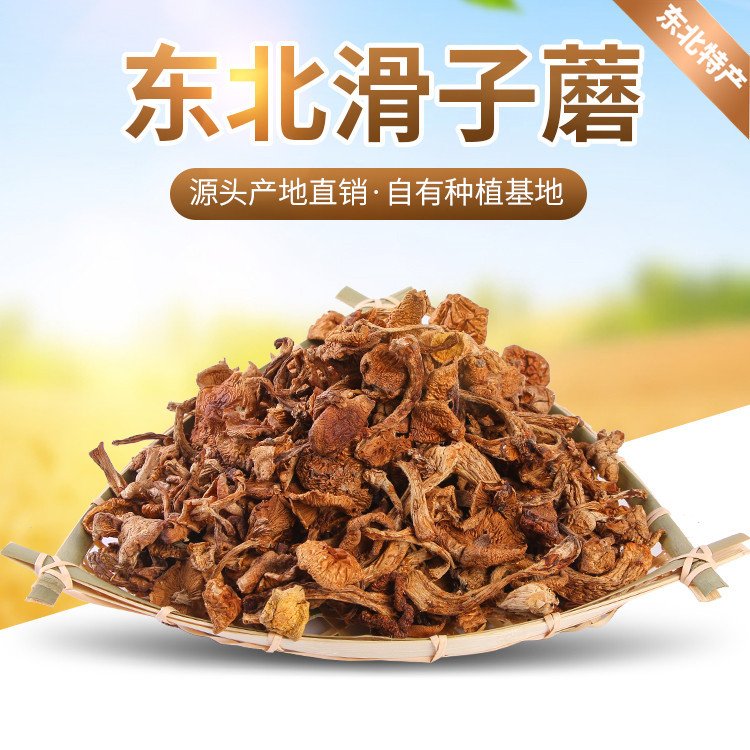 野生人采摘元蘑 一件代发 榛蘑东北野生蘑菇 农家野菜_3629c760.jpg