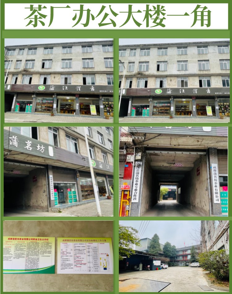 2022年新茶 蒲茗坊 明前头采嫩芽 茉莉花茶 蒙顶山散装飘雪 _3e1fe599.jpg