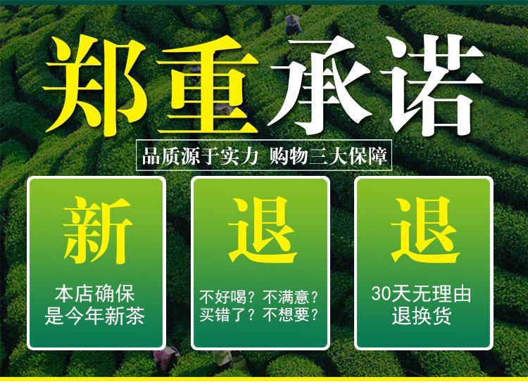 安吉白茶 清明前采摘一级茶 明前茶香醇浓郁 回味香甜 馈赠佳品_ffb9e989.jpg
