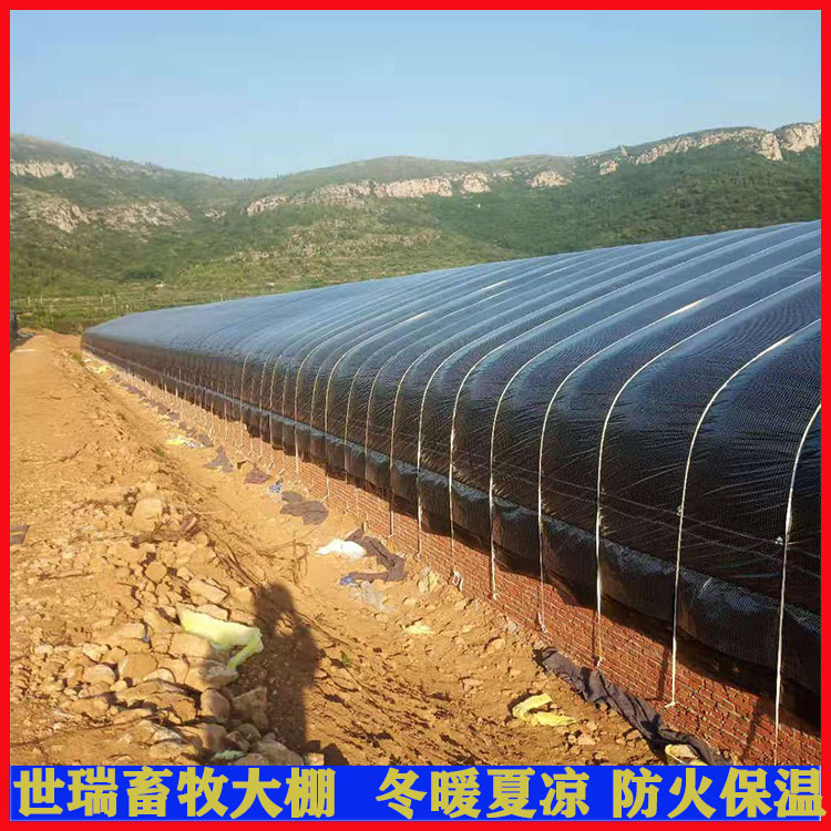 安装养鸡大棚 散养鸡棚建设 搭建简易养鸡棚 鸡舍大棚施工_8de123b8.jpg