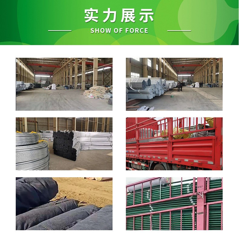 安装养鸡大棚 散养鸡棚建设 搭建简易养鸡棚 鸡舍大棚施工_909a4578.jpg