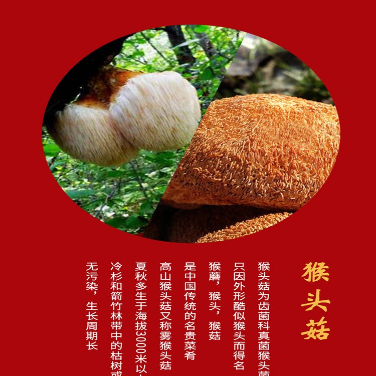东北野生猴头菇 特产新货 烘干打细粉瓶装500克 现货直发_b3e22c94.jpg