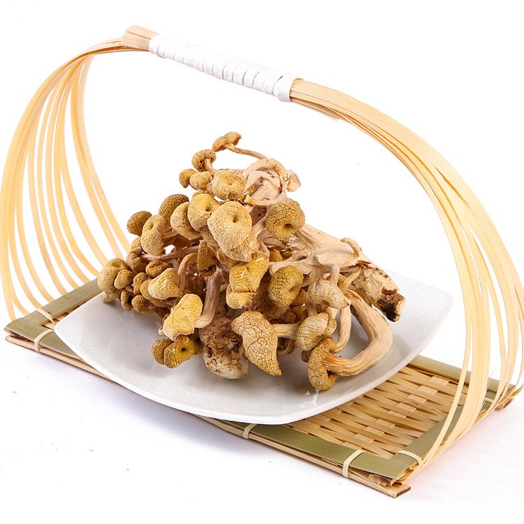 野生人采摘元蘑 一件代发 榛蘑东北野生蘑菇 农家野菜_257c650f.jpg