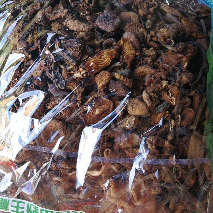 野生人采摘元蘑 一件代发 榛蘑东北野生蘑菇 农家野菜_fc98becc.jpg
