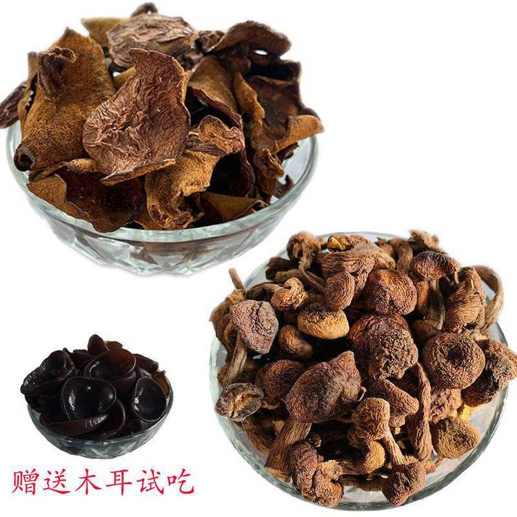 野生人采摘元蘑 一件代发 榛蘑东北野生蘑菇 农家野菜_74328fd8.jpg