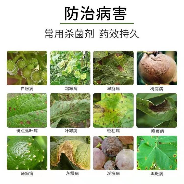 甲维虫螨腈批发 菜青虫蓟马蚜虫茶尺蠖喷雾杀虫剂_e65c9ae4.jpg