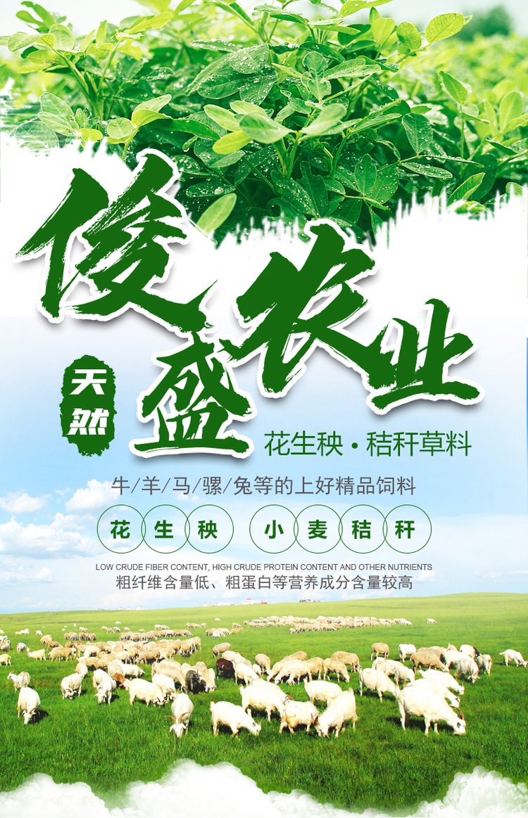 俊盛农业 牛羊草料过冬 动物养殖用新鲜麦草 大圆捆 纯小麦秸秆_a55bb098.jpg