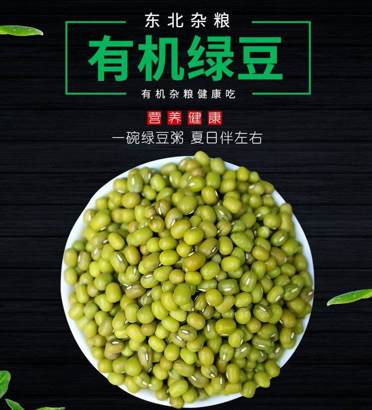 黑龙江绿豆厂家批发 东北特色发芽有机绿豆 出口企业和粮农业_b96b441f.jpg