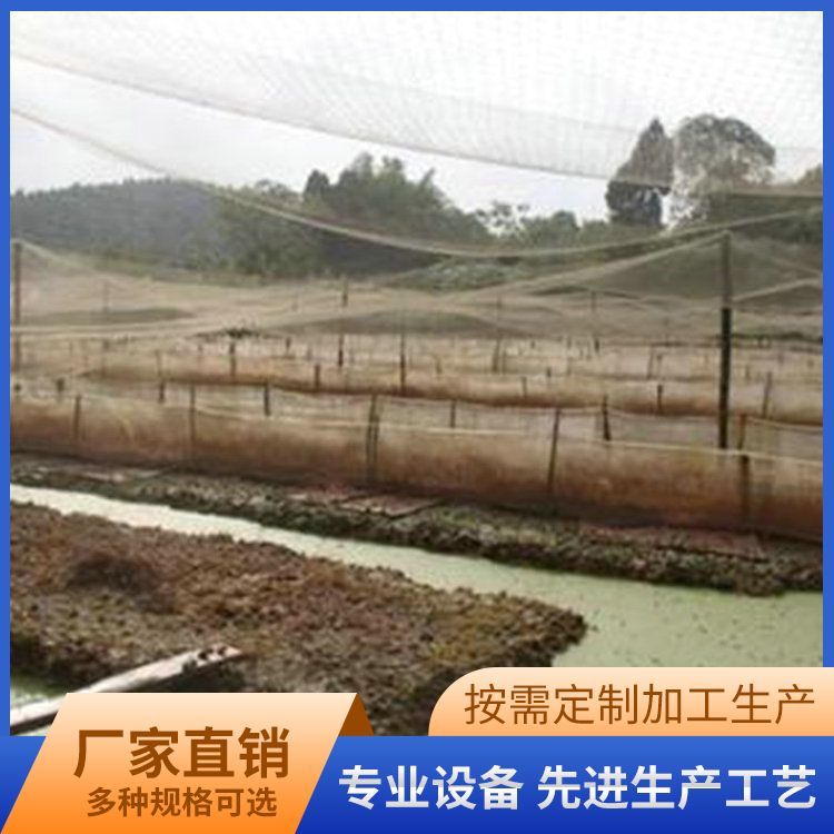 提供技术 其他特种养殖动物供应 成活率 95 供青蛙苗种_e64f2436.jpg