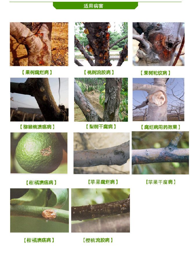农药厂家公司-农用植物杀菌剂治疗桃树细菌性穿孔病特效生物农药_2248b035.jpg