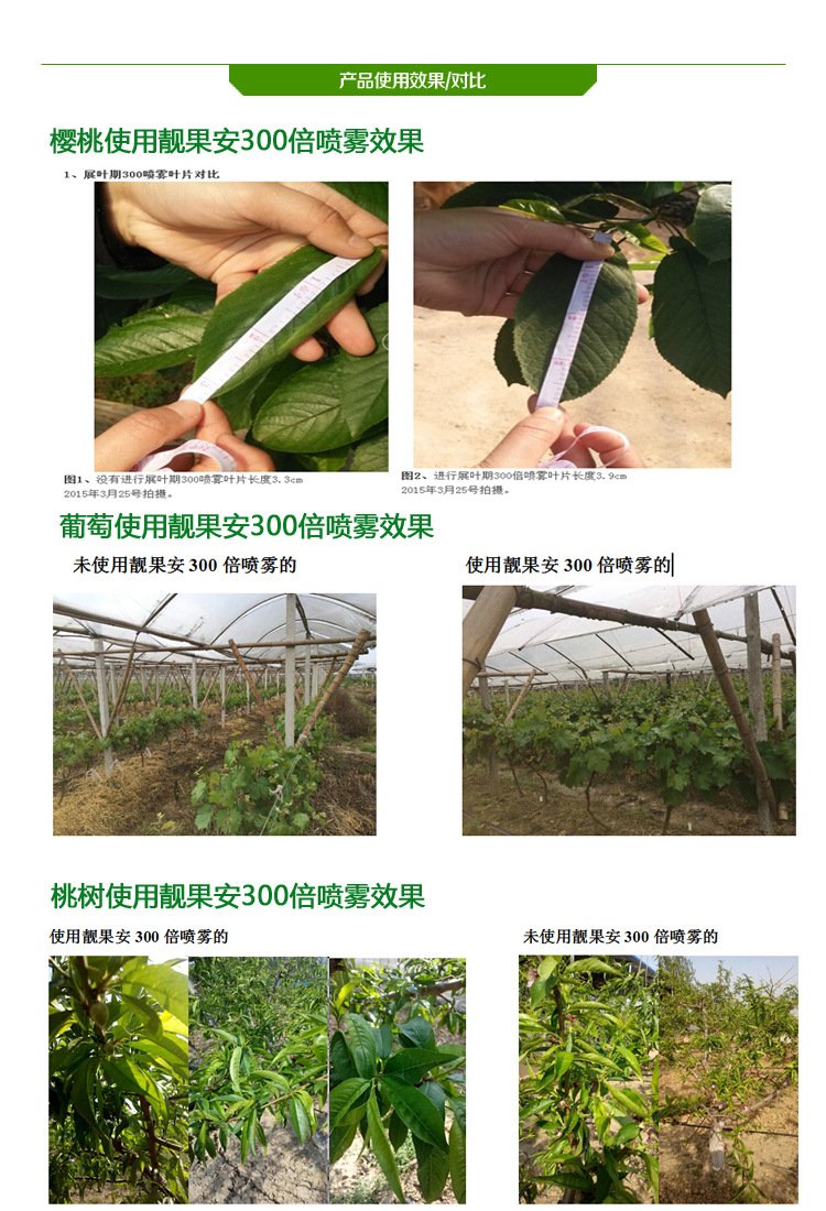 农药厂家公司-农用植物杀菌剂治疗桃树细菌性穿孔病特效生物农药_c19748cb.jpg